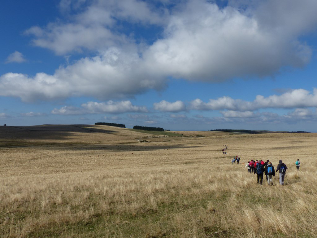 Die Davalada-Aubrac-Hochebene