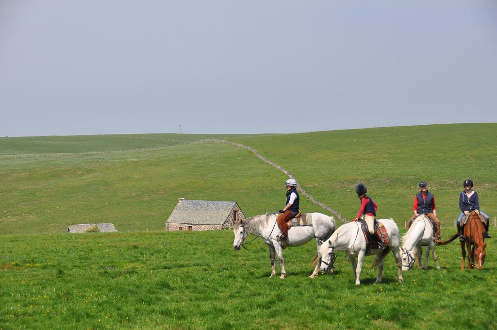 Horseback riding on the Aubrac