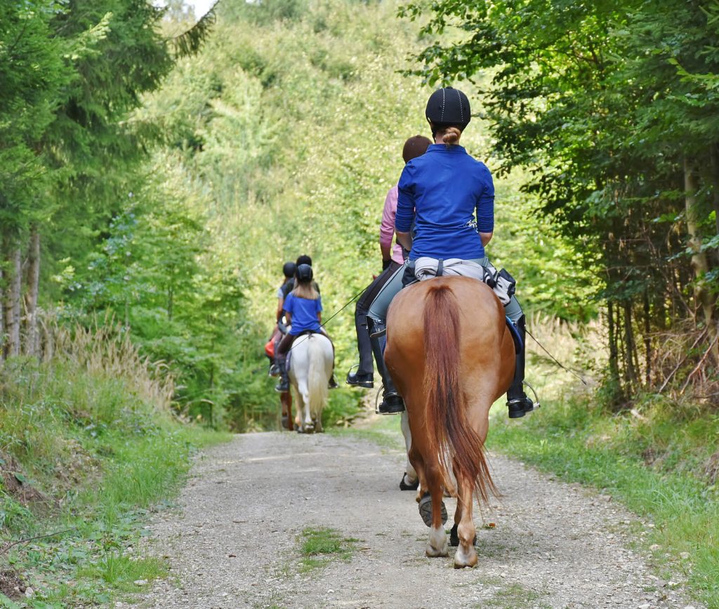 Paseo a caballo