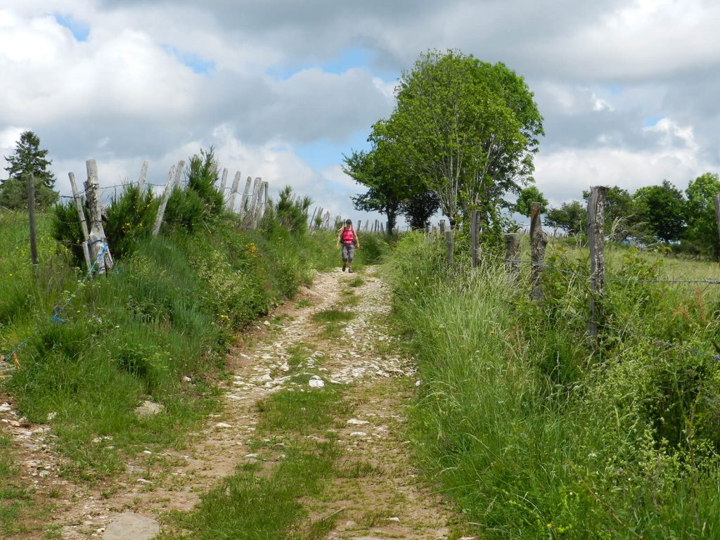 GR65 wandelwagen