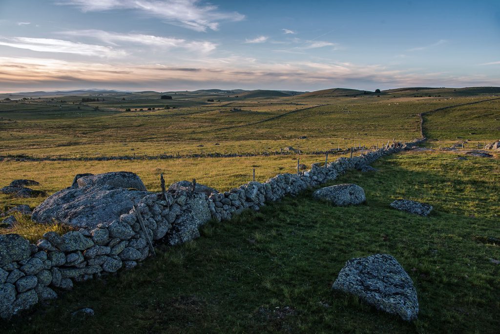 Draille and plateau grazing