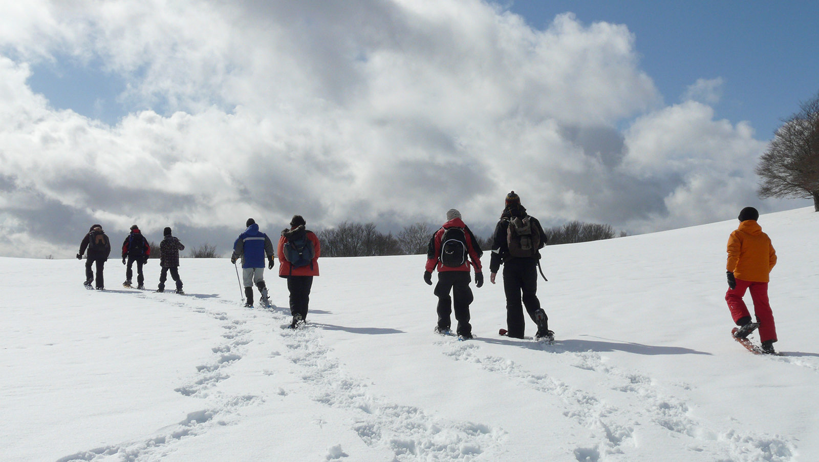 Aubrac-Schneeschuhe