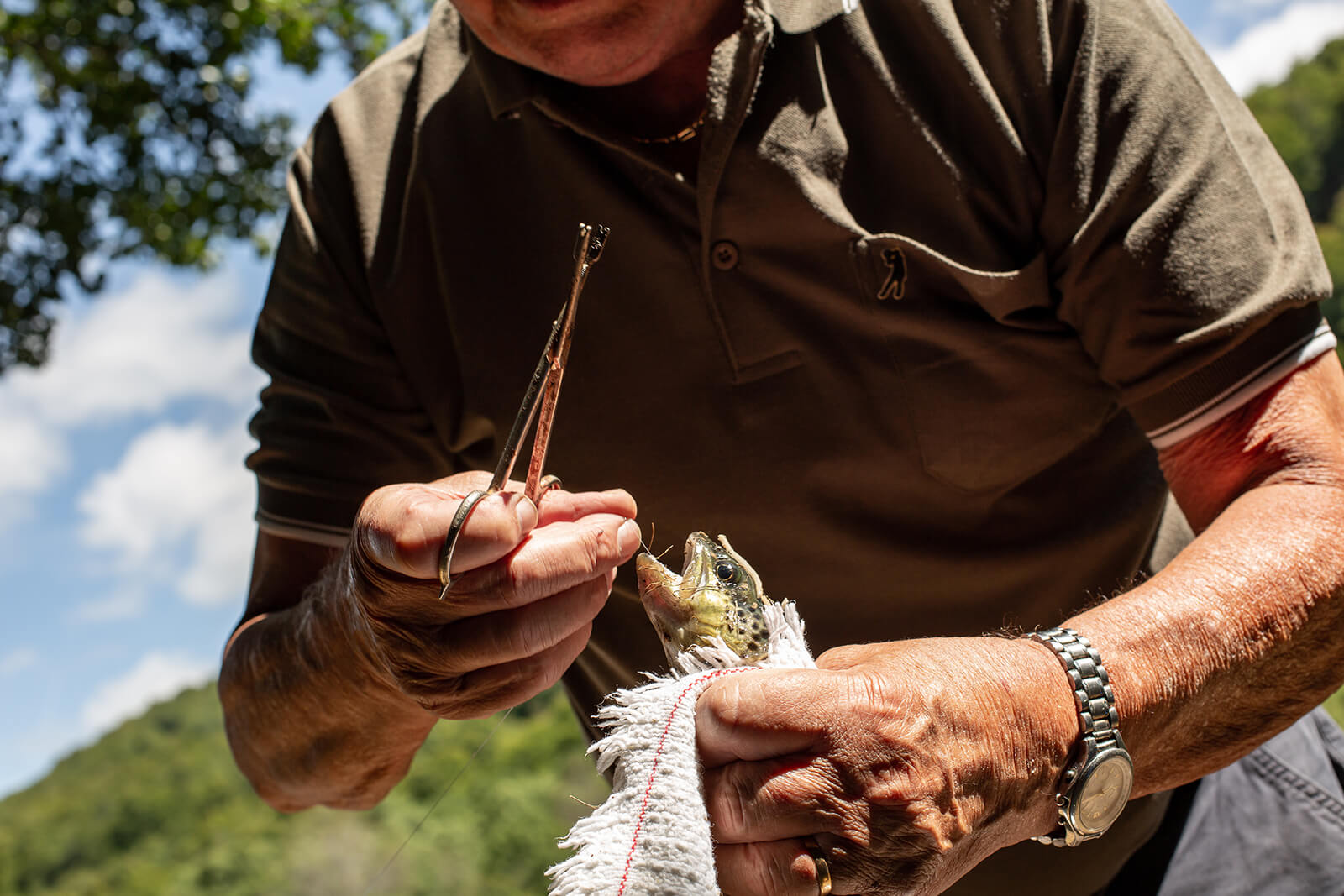 Fishing lake Picades