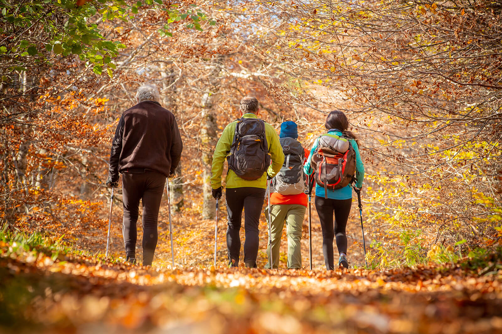 GR® Hiking Tour of the Monts d'Aubrac