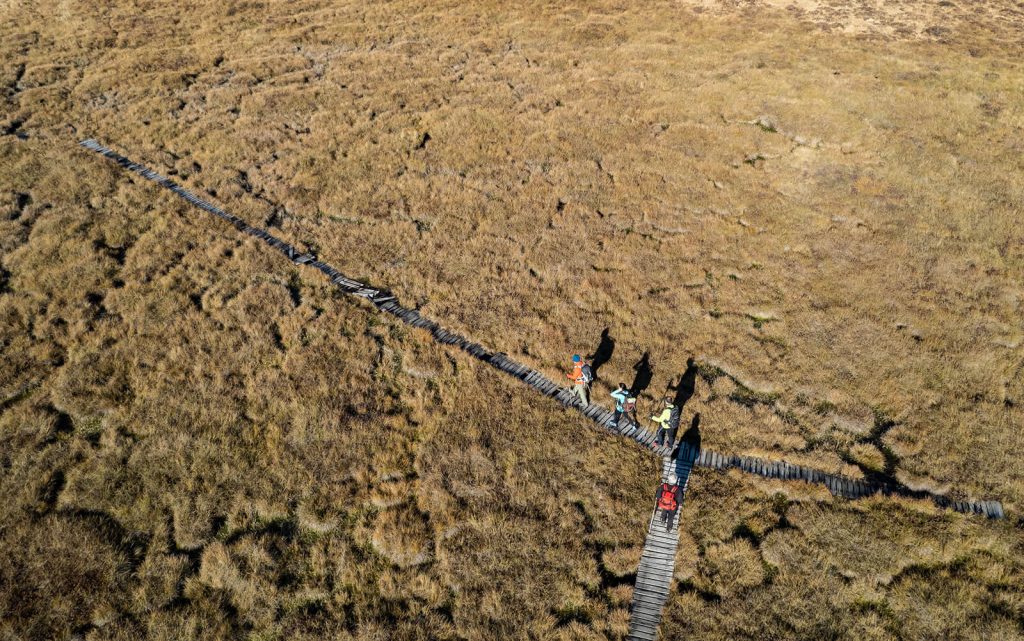 Peat bog seen from the sky