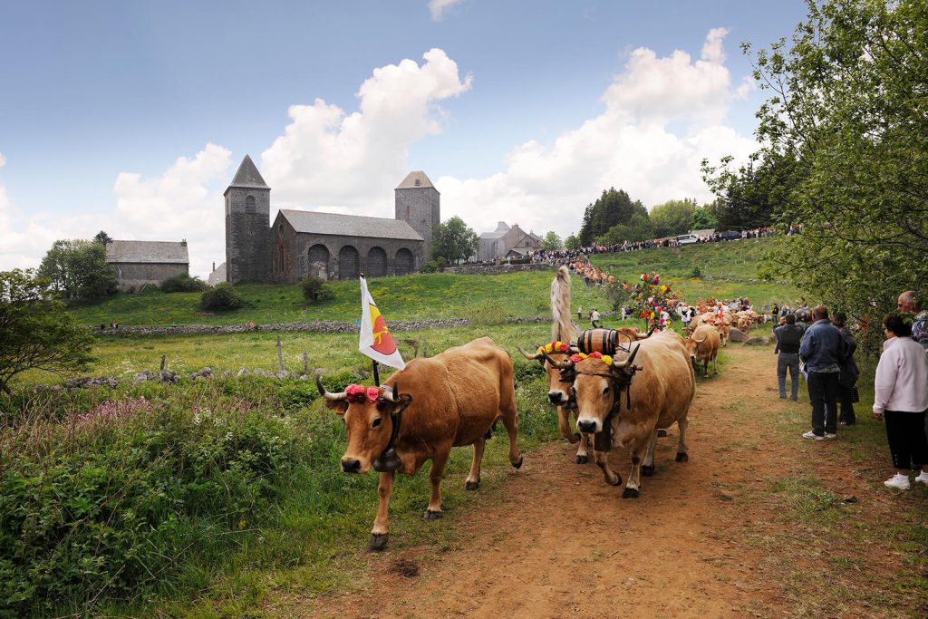 Trashumancia en Aubrac