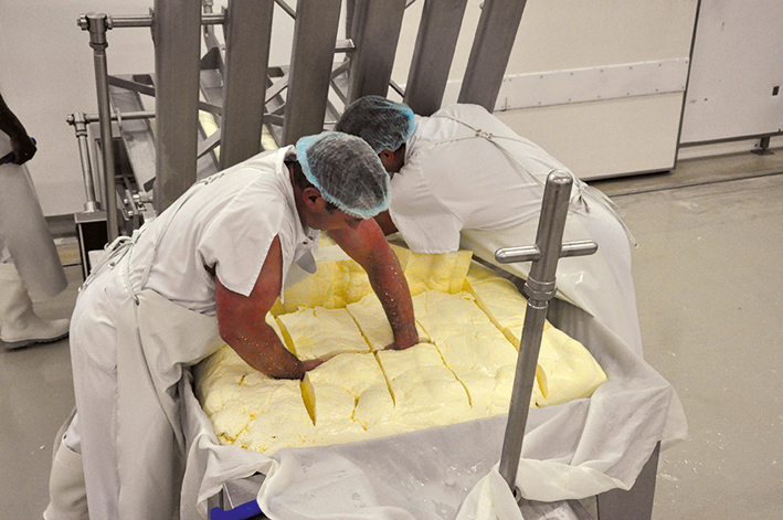 Travail du fromage Laguiole