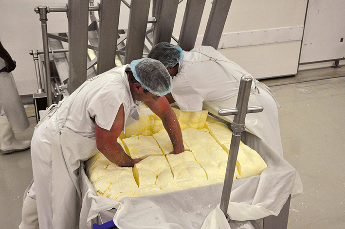 Trabajando con queso Laguiole