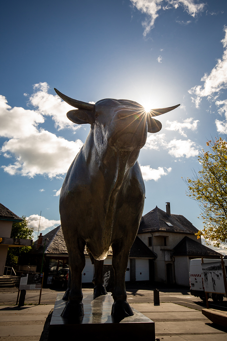 Laguiole bull statue