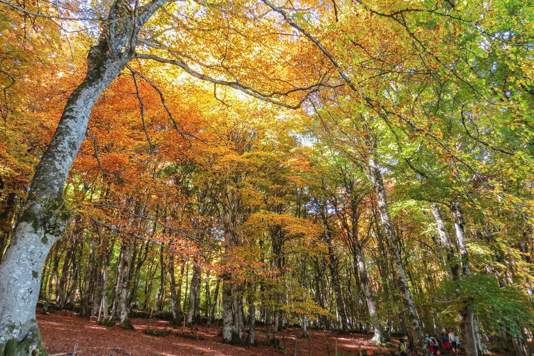 De Davalada in de herfst