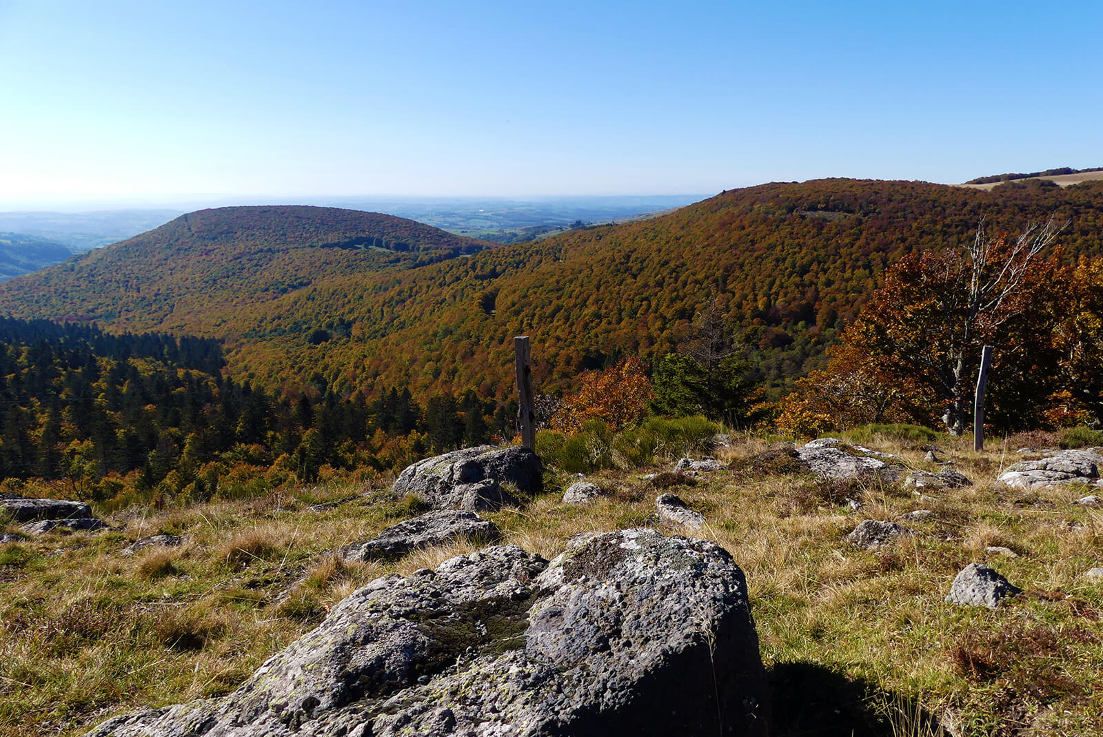 Bosque de otoño en Aubrac