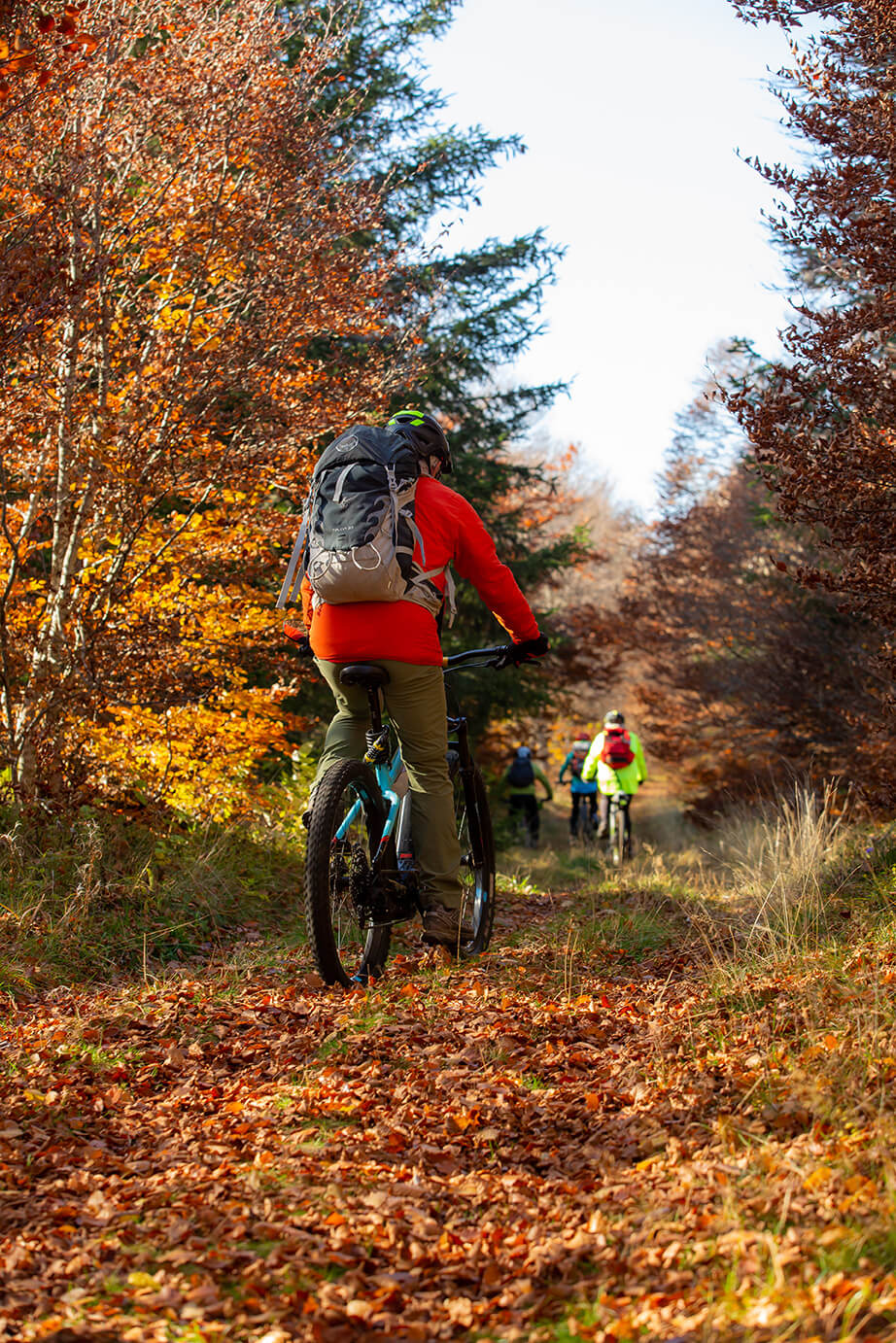 Ciclismo de montaña en el Aubrac en otoño