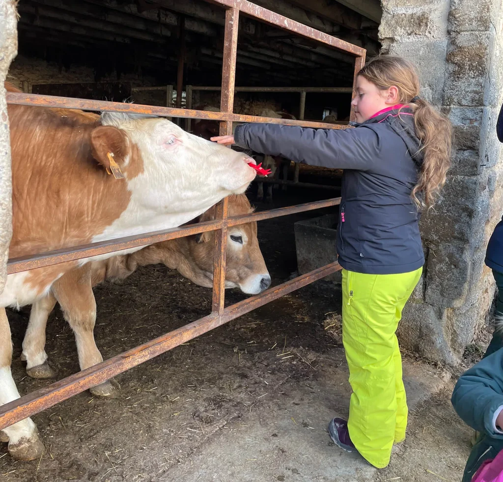 Besuch der High Borie Farm