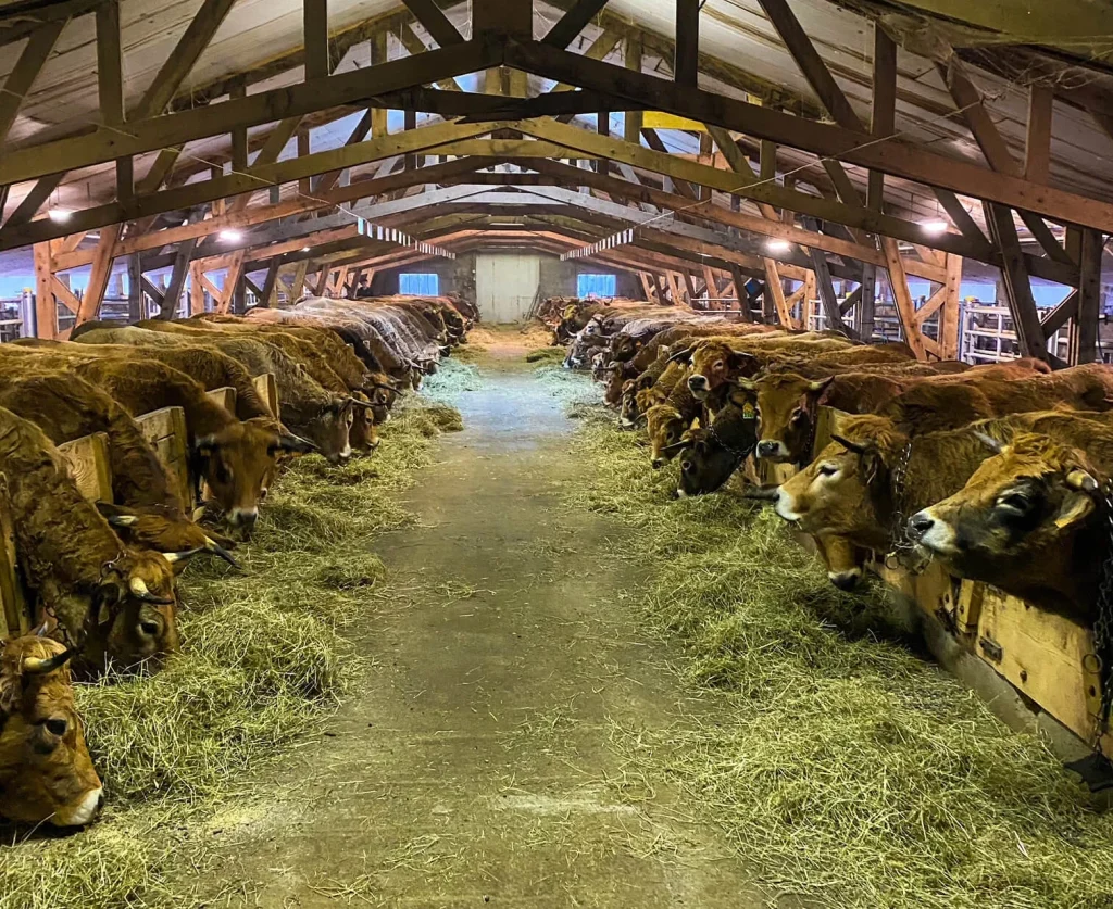 bezoek aan de boerderij la montagnette