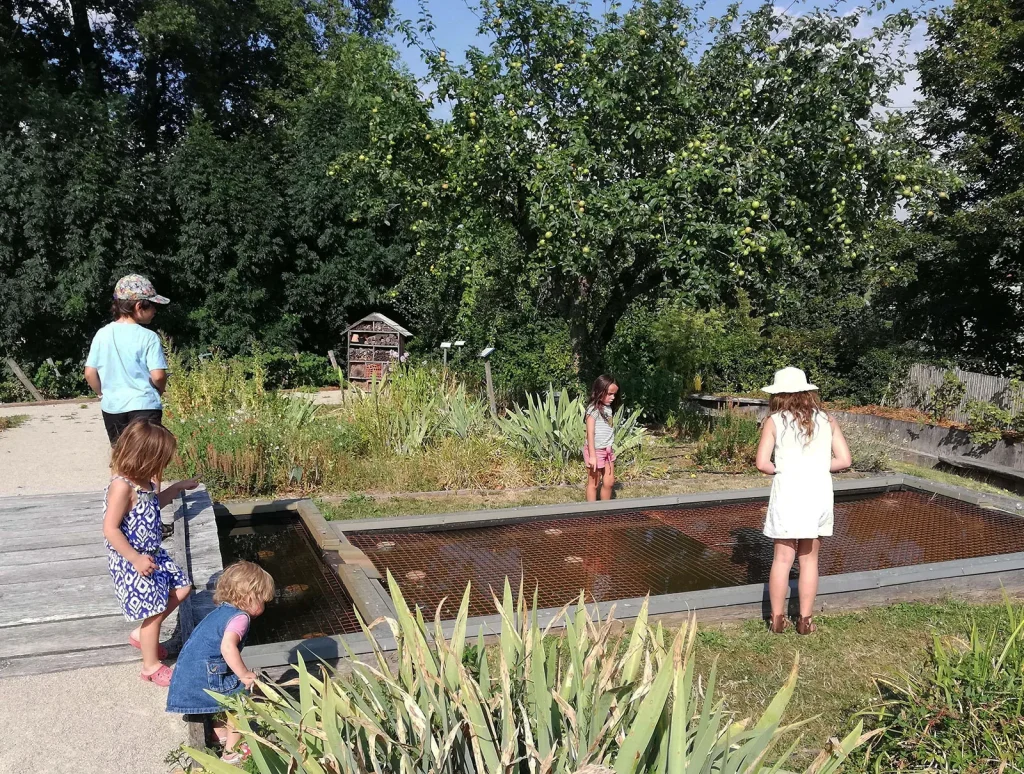 Tuin van de 5 zintuigen Paden van het denkbeeldige