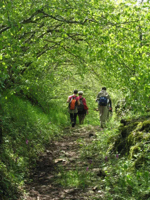 Carladez Hike