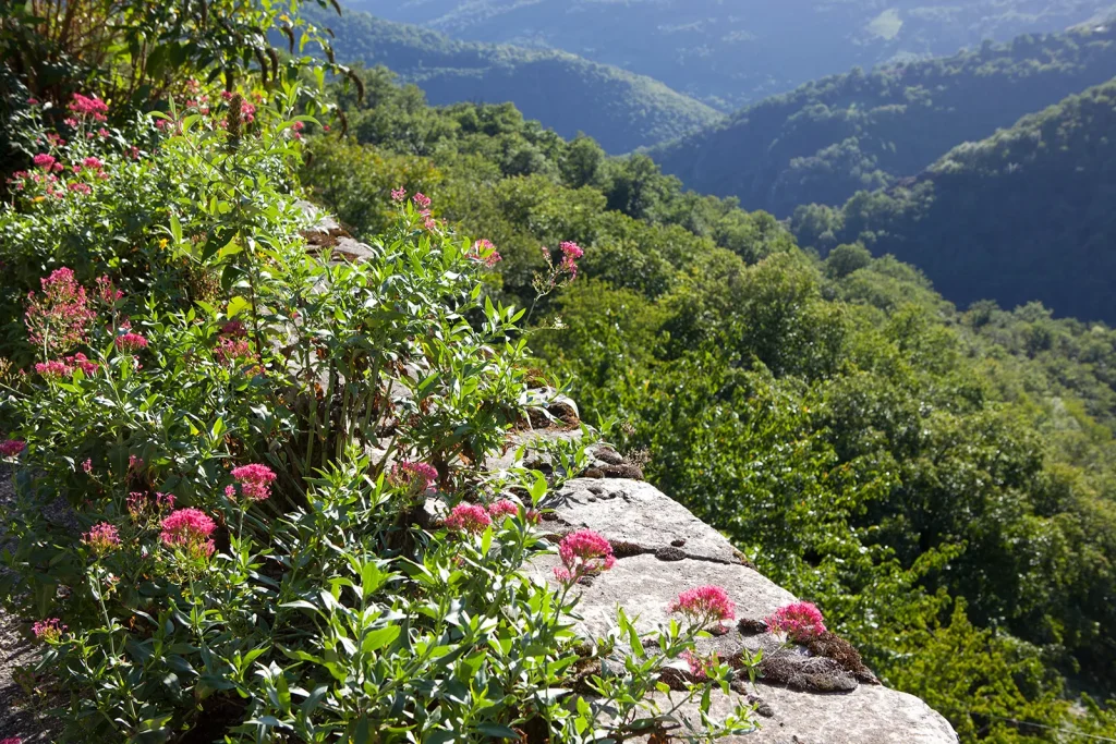 Valerian Gorges of the Truyere