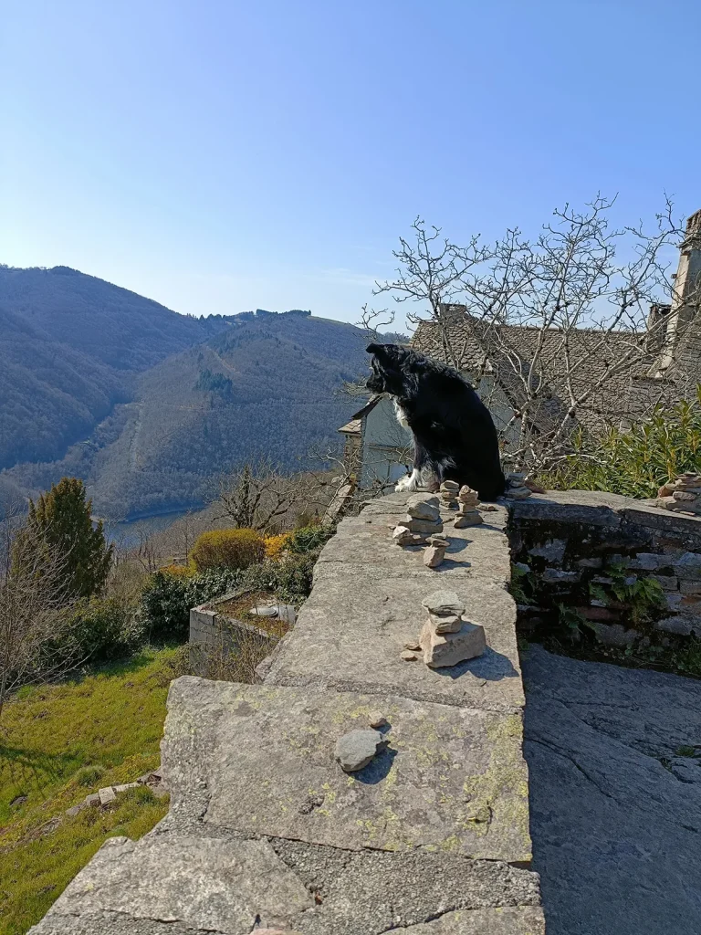 Hundefreundliches Dorf