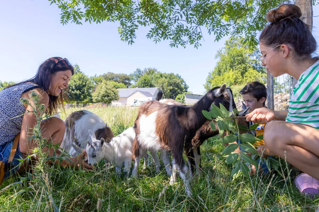 Ferme pédagogique