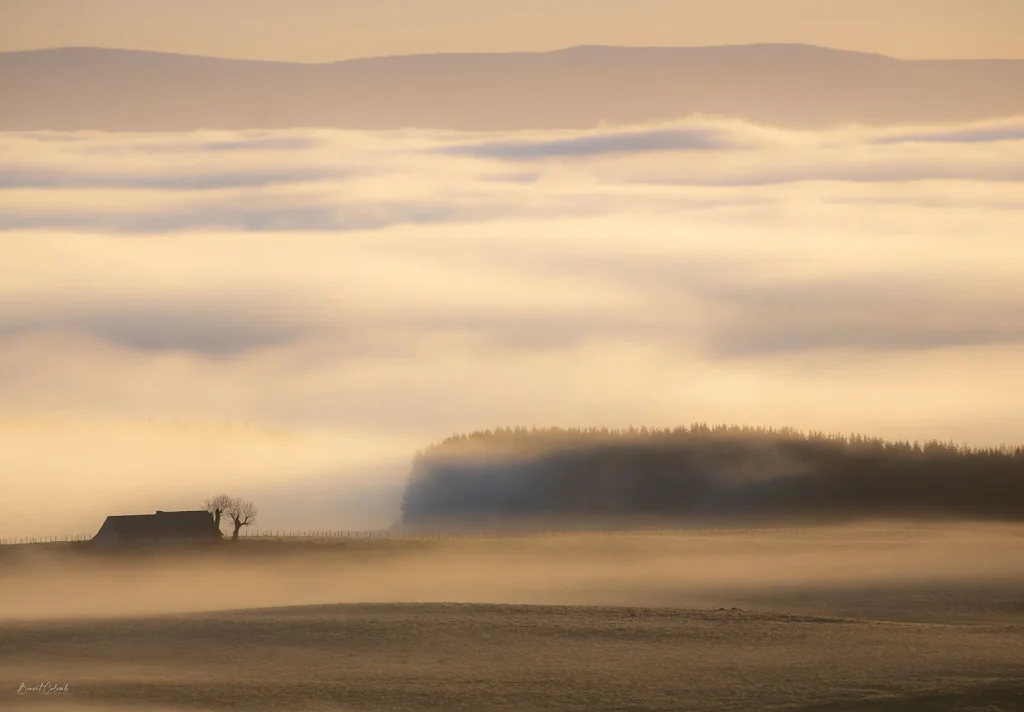 Mist op het Aubrac-plateau