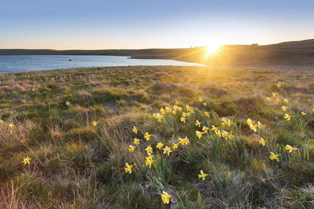 Lac des moines au printemps