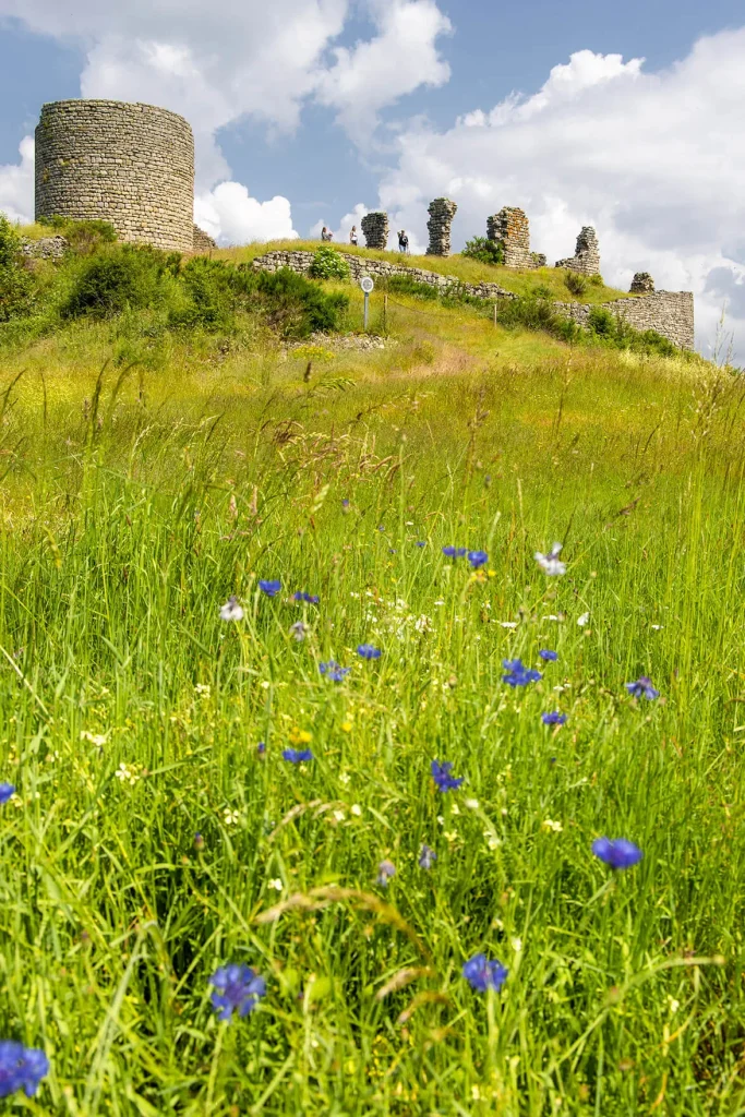 Castello Thénières Vidène