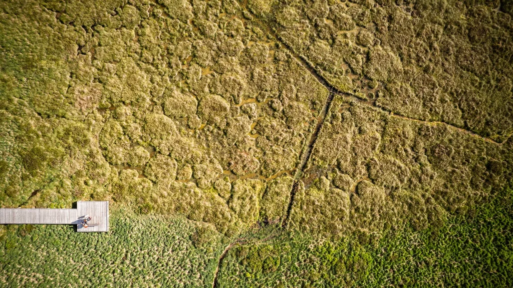 Tourbière Laguiole plateau de l'Aubrac