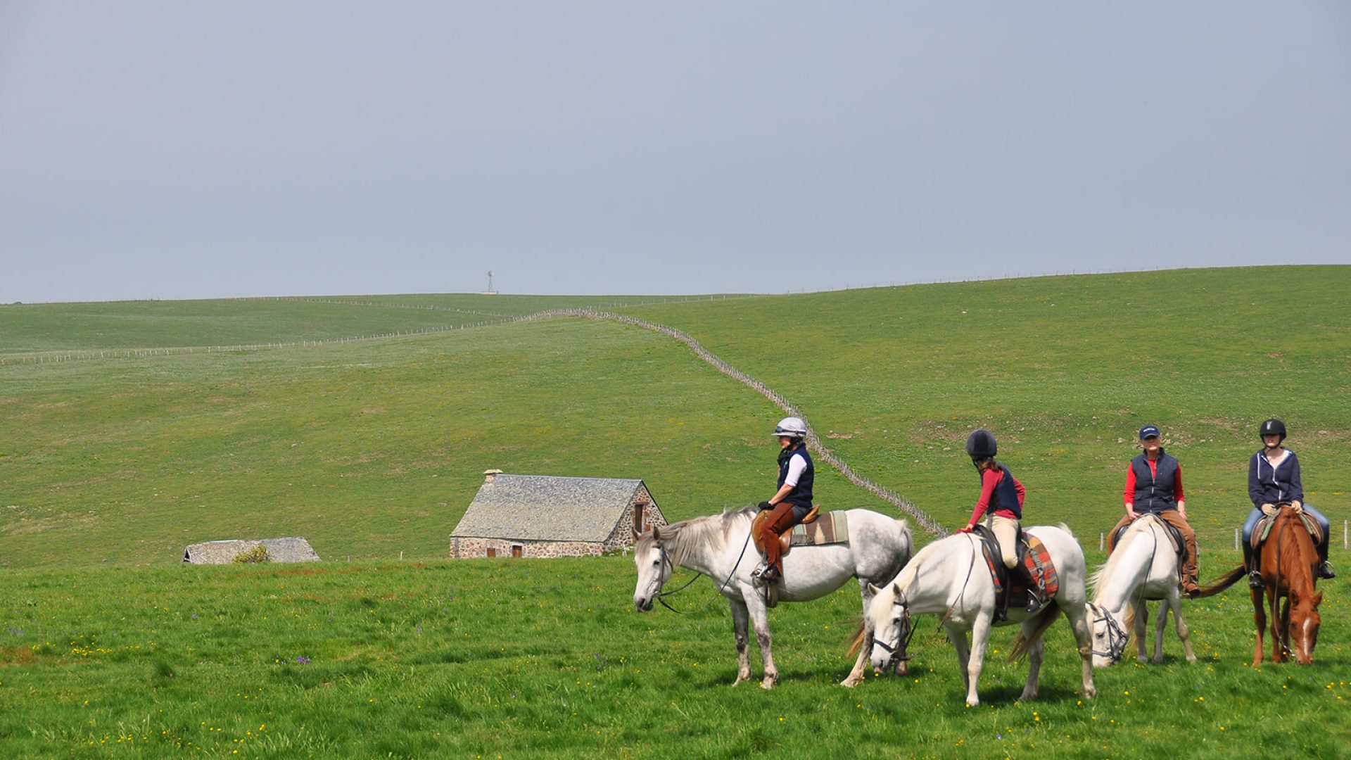 Horseback riding on the Aubrac