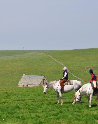 Horseback riding on the Aubrac