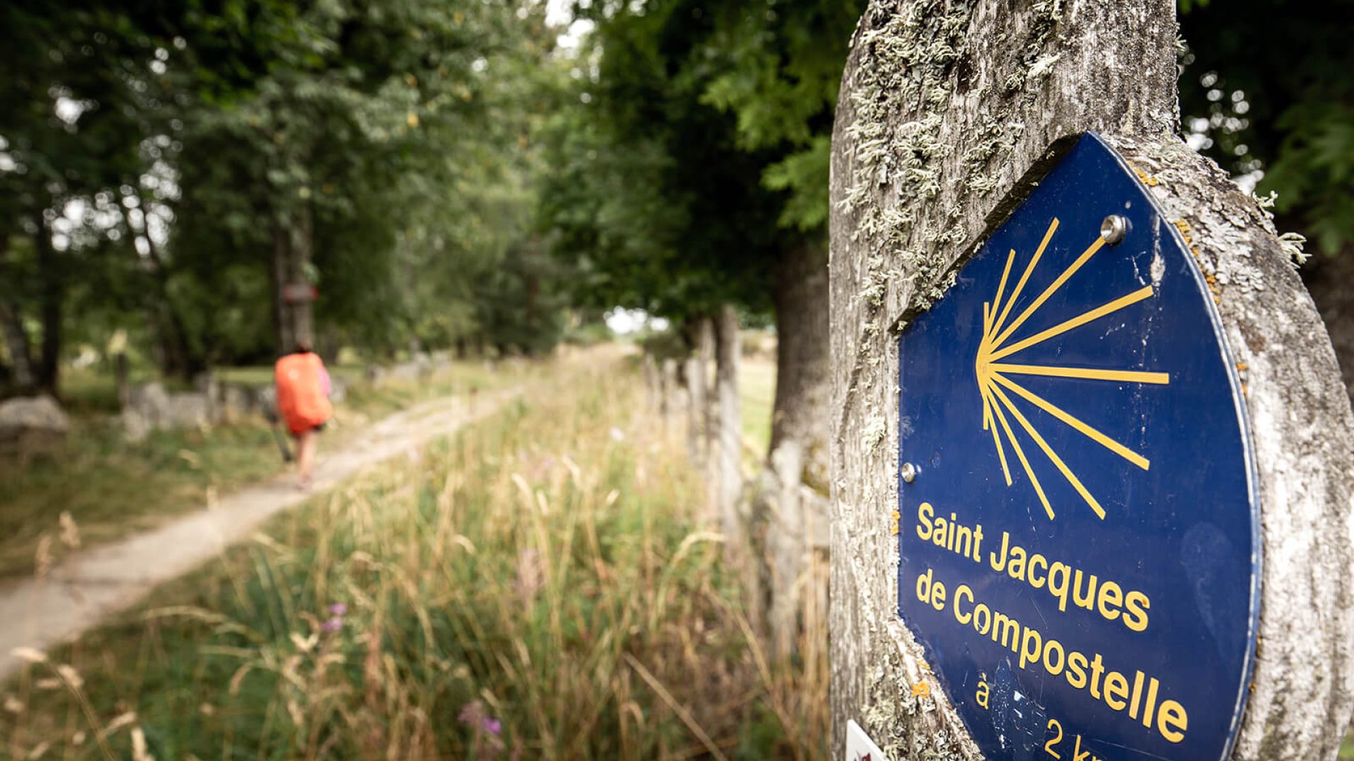 Weg von Saint-Jacques-de-Compostelle