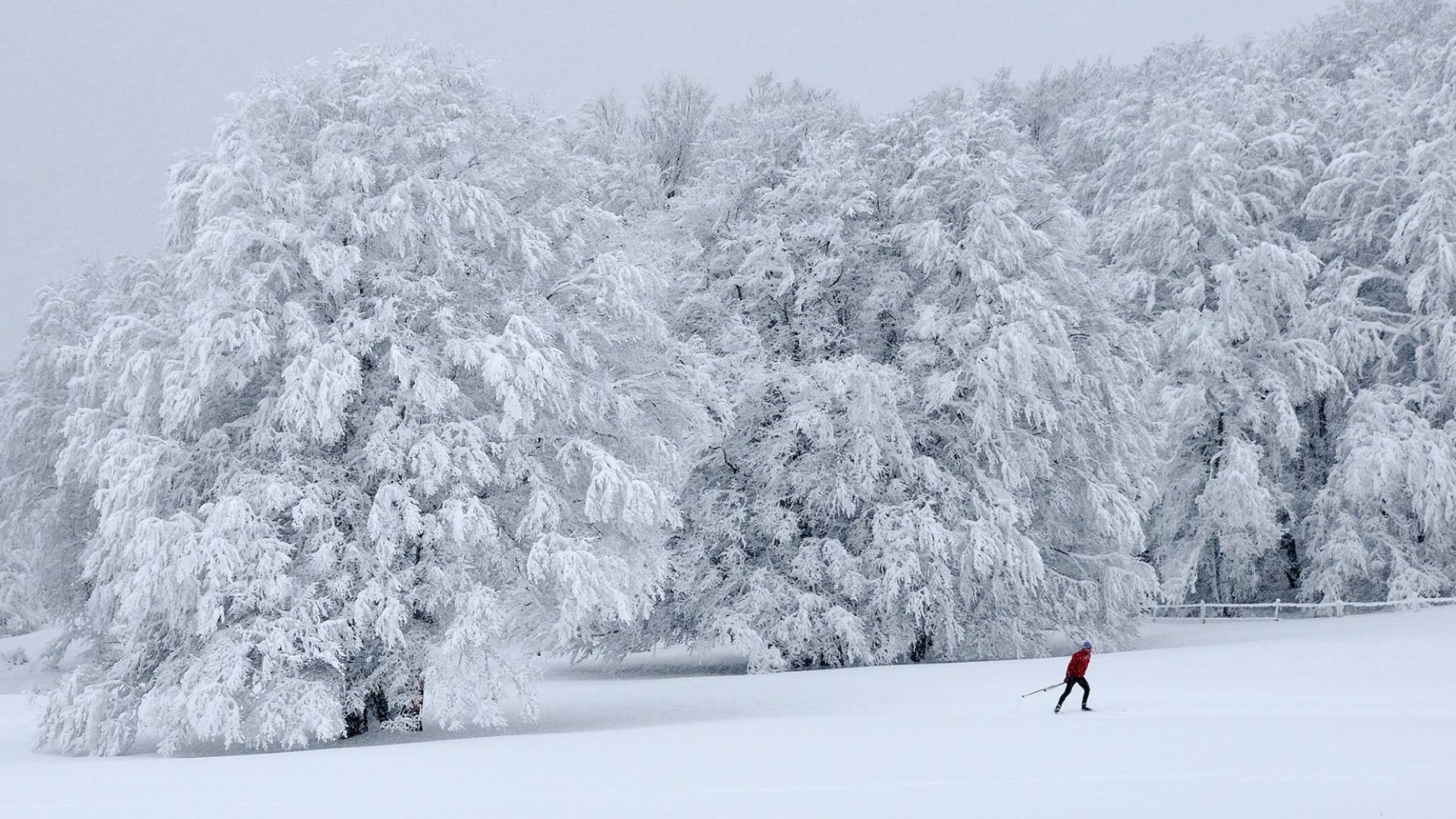 Esquí en la nieve Aubrac