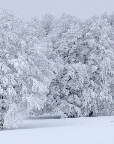 Esquí en la nieve Aubrac