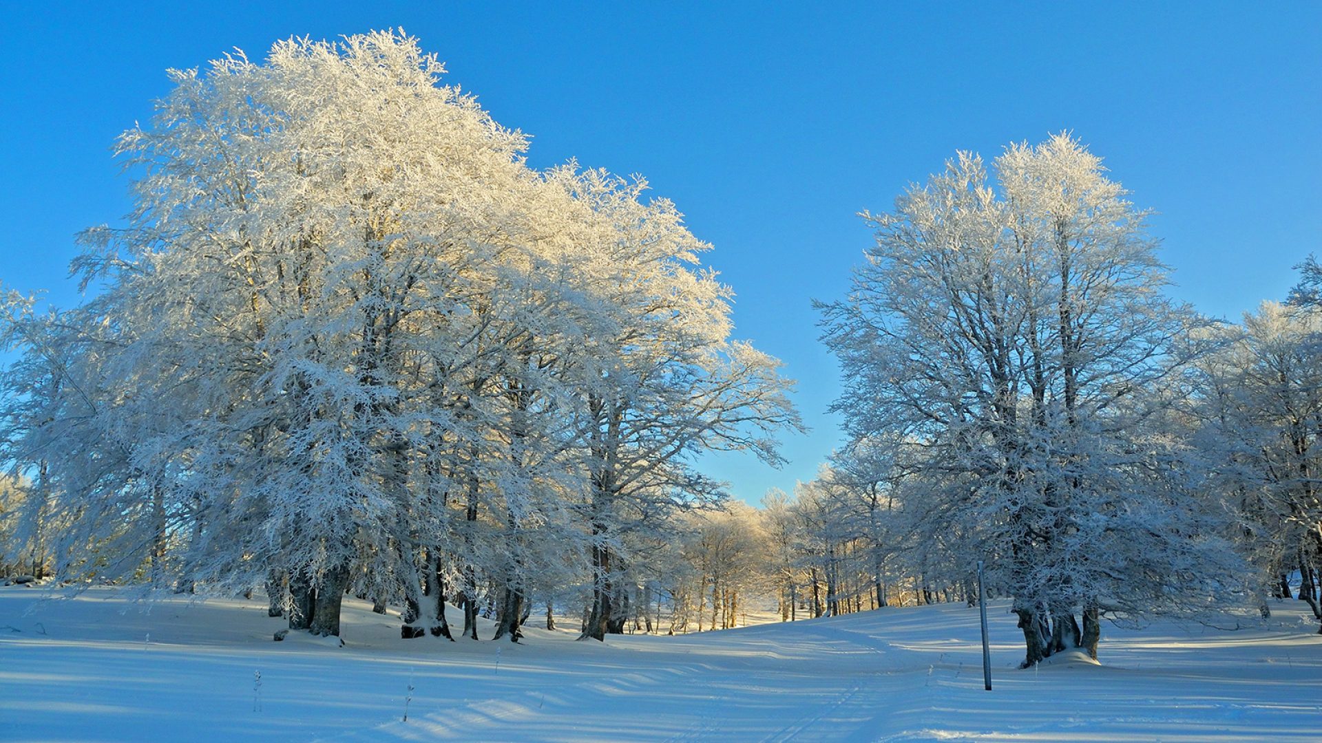 Sneeuwbericht skigebied Laguiole