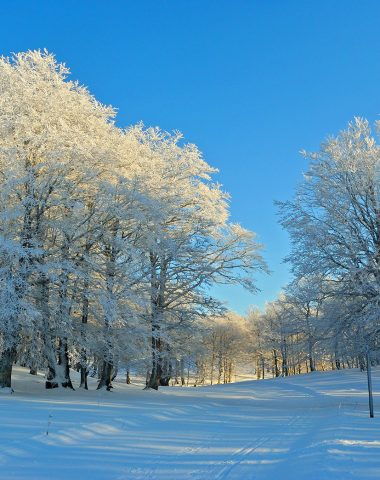 Informe de nieve de la estación de esquí de Laguiole