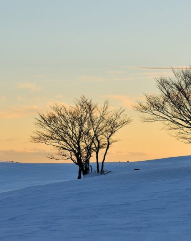 Puesta de sol de nieve Aubrac