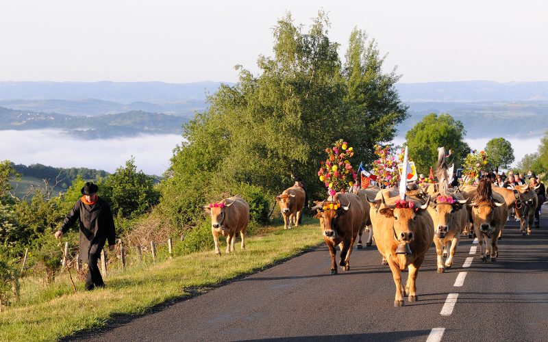 Fête de la transhumance Aubrac