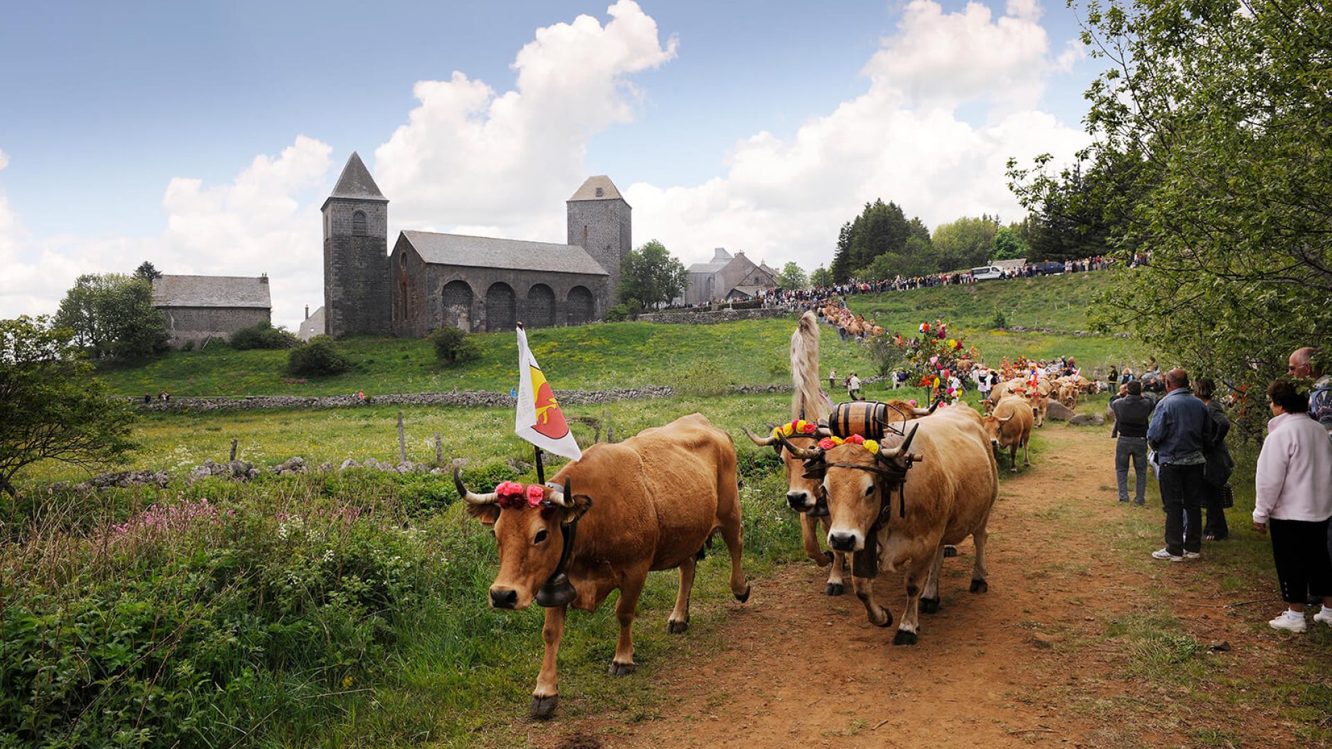 Transhumanz in Aubrac