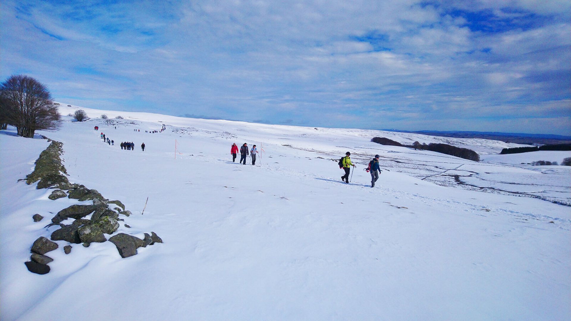 Tracce di formaggio sull'altopiano innevato