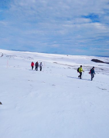 Spuren des Käses auf dem verschneiten Plateau