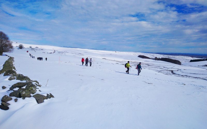 Spuren des Käses auf dem verschneiten Plateau