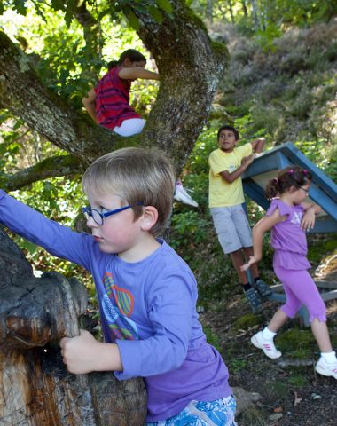 Magischer Waldweg der Fantasie