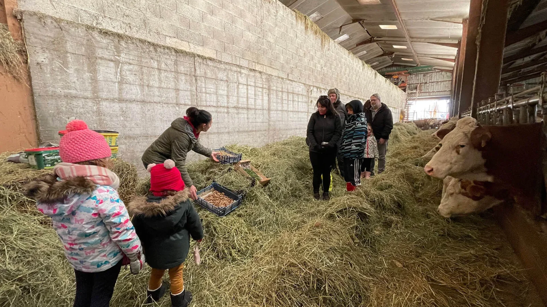 Besuch der High Borie Farm