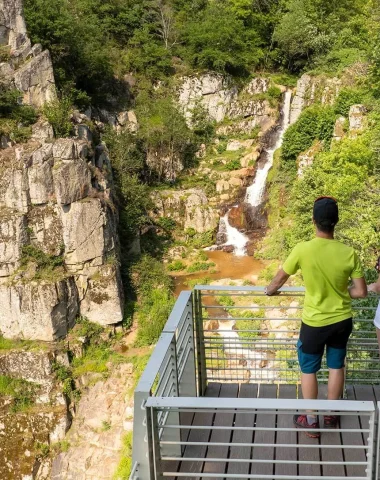 Hond springende waterval gezichtspunt