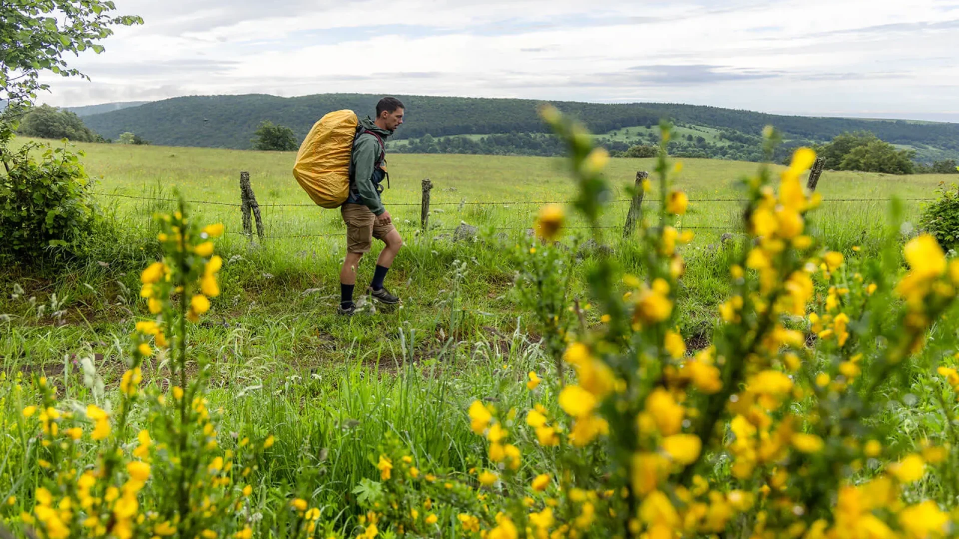 GR65-Wanderung Santiago de Compostela Aubrac