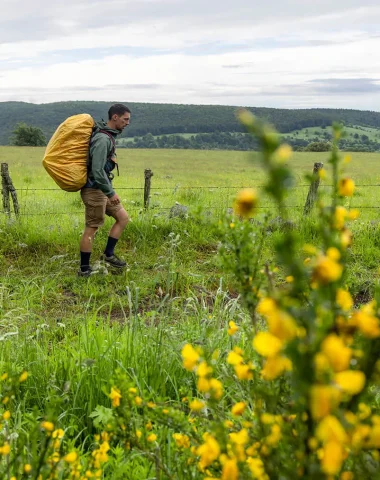 GR65 hike Santiago de Compostela Aubrac