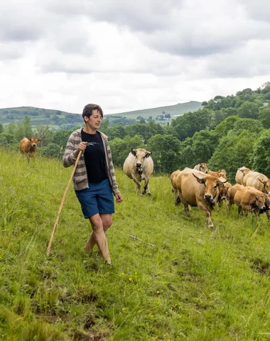 Visita a la granja de vacas Aubrac