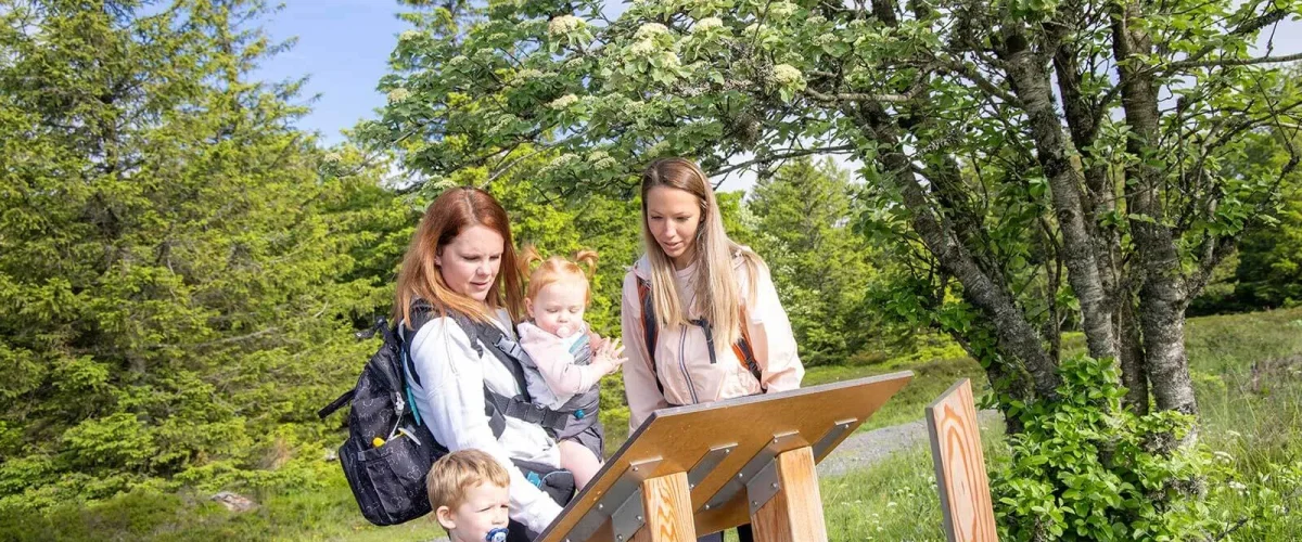 Passeggiata in famiglia Sentiero botanico dell'Aubrac