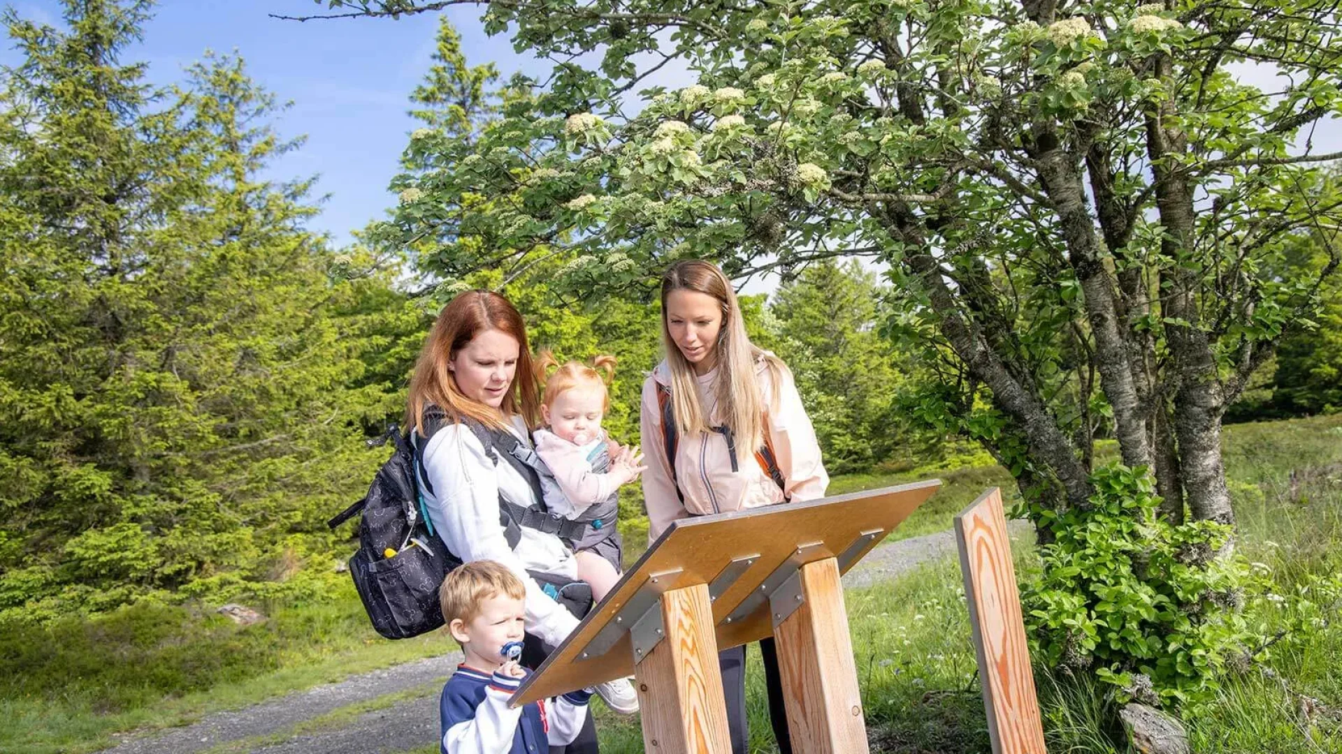 Family walk Aubrac botanical trail