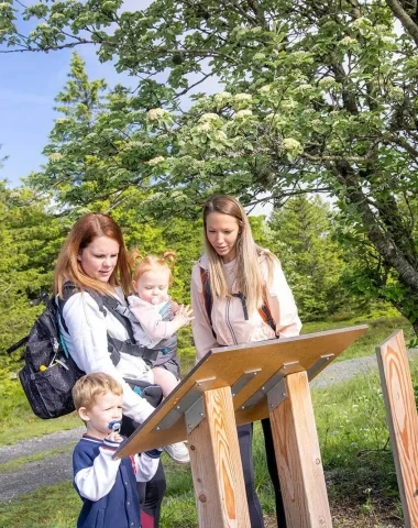 Familienspaziergang Botanischer Pfad Aubrac