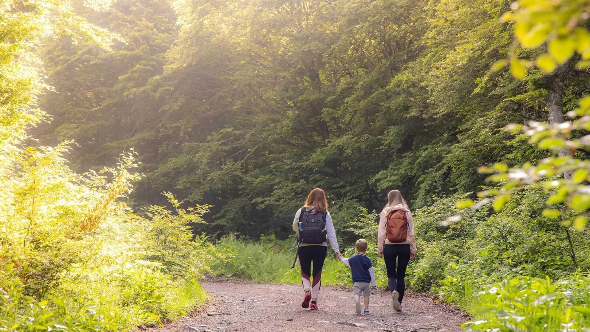 Walk in the forest with the Aubrac family